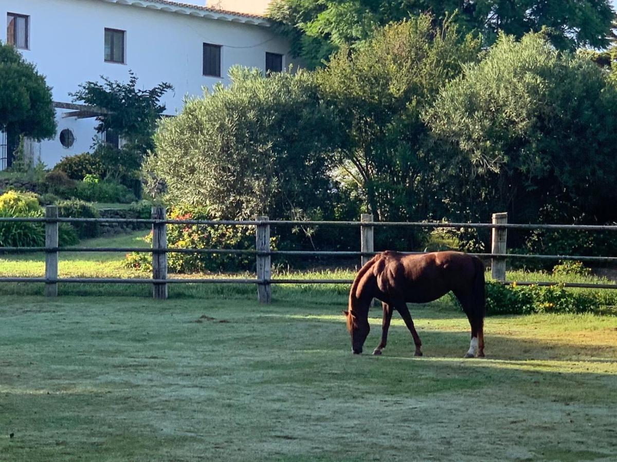 Cortijo De Guerra Guest House ปูแอร์โต เรอาล ภายนอก รูปภาพ