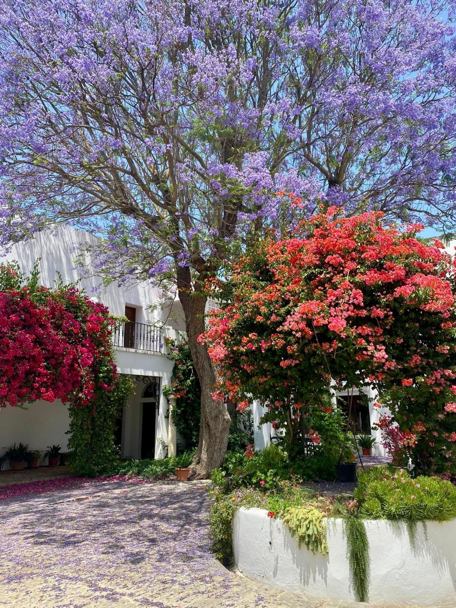 Cortijo De Guerra Guest House ปูแอร์โต เรอาล ภายนอก รูปภาพ
