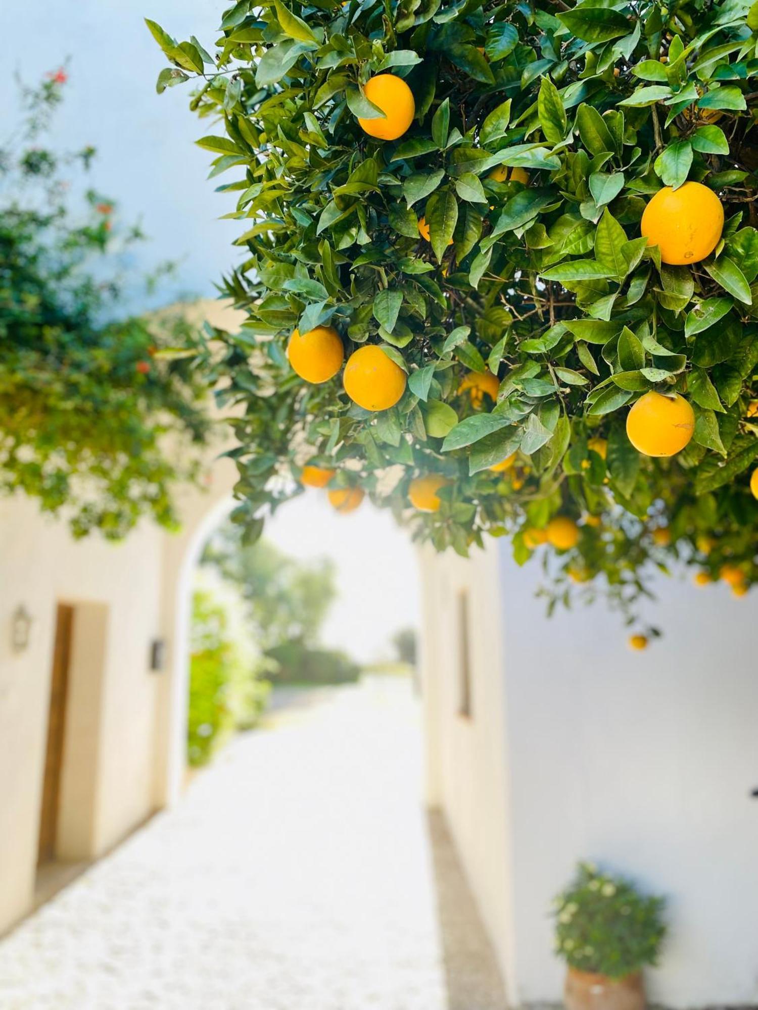 Cortijo De Guerra Guest House ปูแอร์โต เรอาล ภายนอก รูปภาพ