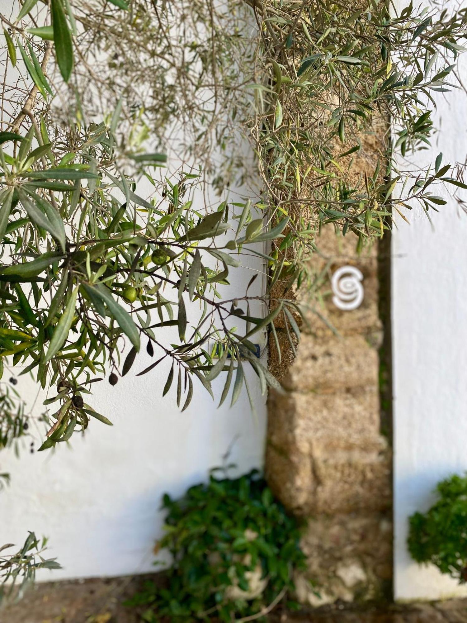Cortijo De Guerra Guest House ปูแอร์โต เรอาล ภายนอก รูปภาพ